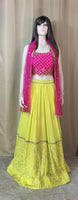 Designer Chikankari Lehnga Set