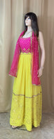 Designer Chikankari Lehnga Set