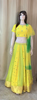 Designer Lehenga Choli Set