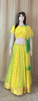 Designer Lehenga Choli Set