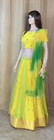 Designer Lehenga Choli Set
