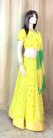 Designer Lehenga Choli Set