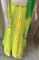 Designer Lehenga Choli Set