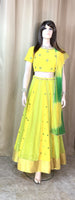Designer Lehenga Choli Set