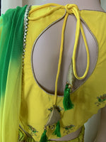 Designer Lehenga Choli Set