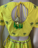 Designer Lehenga Choli Set