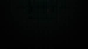 RAYON CHICKEN PALAZO