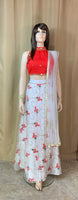 Designer Lehenga and Crop Top set