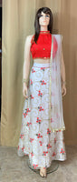 Designer Lehenga and Crop Top set