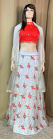 Designer Lehenga and Crop Top set